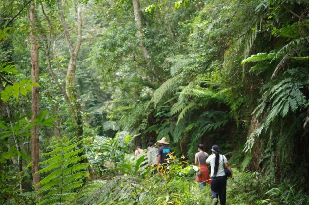 苗栗山林